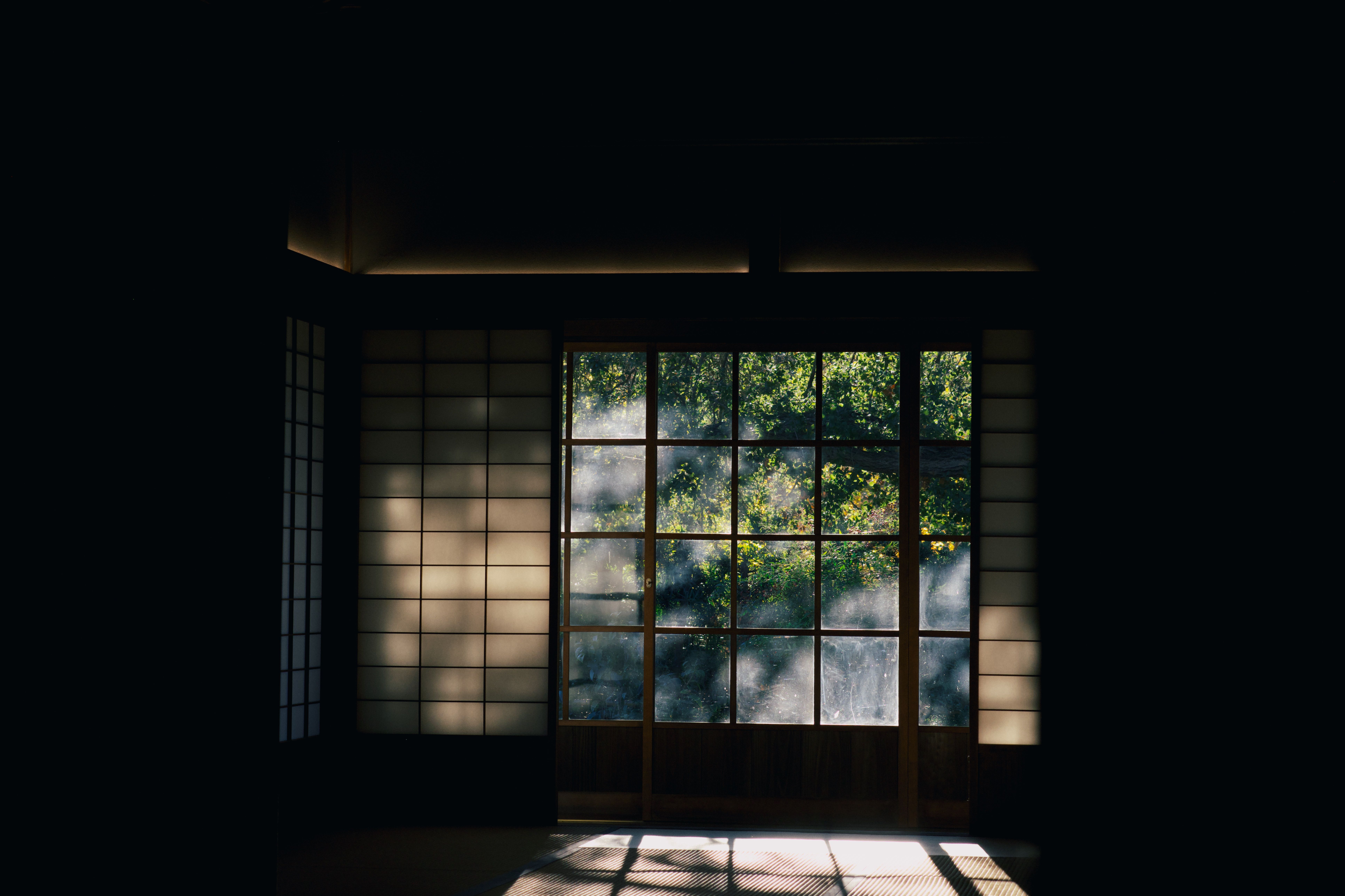 客室からの眺め